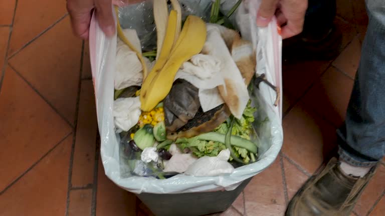 Best Dumpster Rental Services  in Thomasville, AL